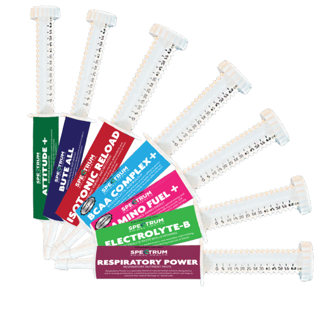 Performance Pastes & Gels